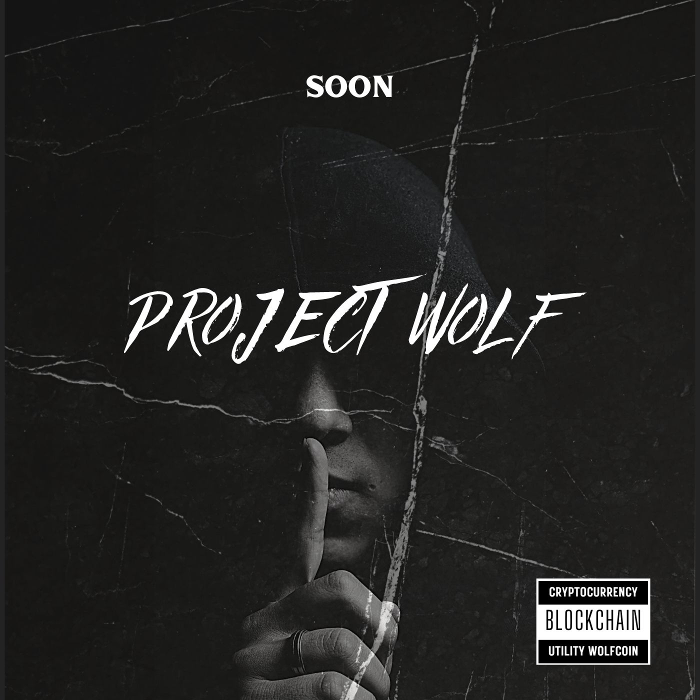comming soon project wolf(wolfcoin).png.jpg